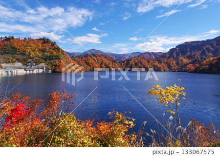 奥只見湖の紅葉 奥只見湖の紅葉 133067575