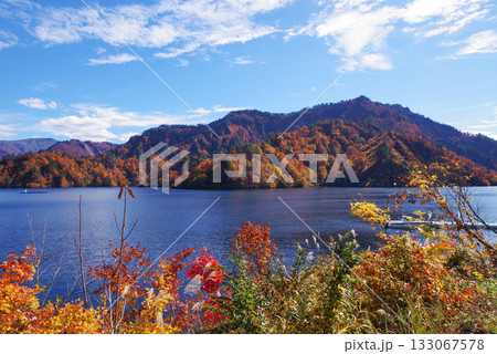 奥只見湖の紅葉 133067578
