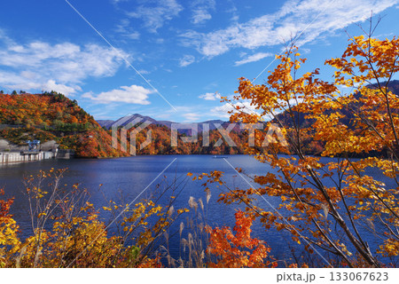 奥只見湖の紅葉 133067623