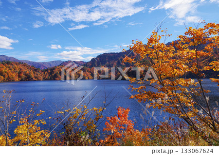 奥只見湖の紅葉 133067624