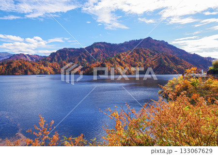 奥只見湖の紅葉 奥只見湖の紅葉 133067629