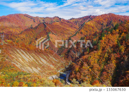 奥只見湖の紅葉 奥只見湖の紅葉 133067630