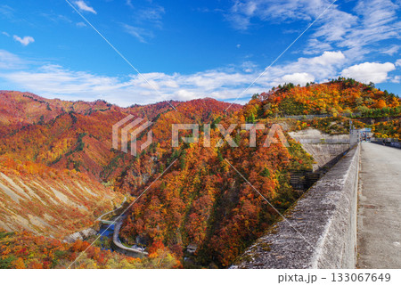 奥只見湖の紅葉 奥只見湖の紅葉 133067649
