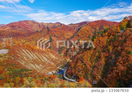 奥只見湖の紅葉 133067650