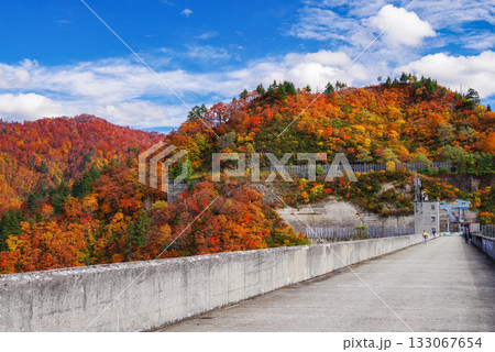 奥只見湖の紅葉 奥只見湖の紅葉 133067654