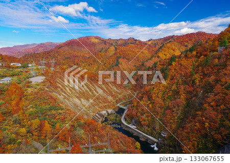 奥只見湖の紅葉 133067655