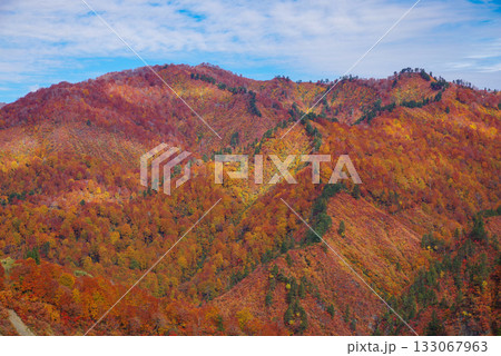 奥只見湖の紅葉 133067963