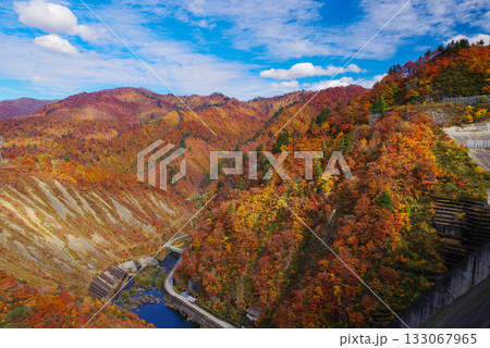 奥只見湖の紅葉 133067965