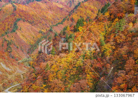奥只見湖の紅葉 奥只見湖の紅葉 133067967