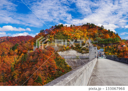 奥只見湖の紅葉 奥只見湖の紅葉 133067968