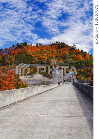 奥只見湖の紅葉 133067971