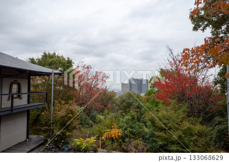 宝塚　夕景 133068629