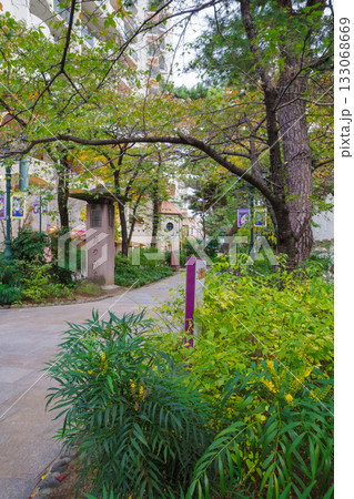 花のみち 花のみち 133068669