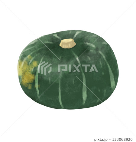 緑色のカボチャのイラスト 133068920