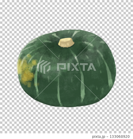 緑色のカボチャのイラスト 133068920