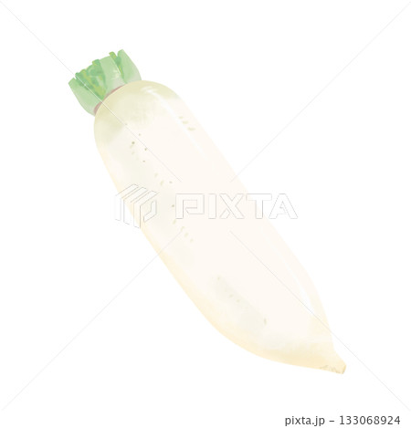 大根のイラスト 133068924