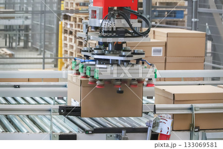 packing line in a logistics warehouse. conveyor belt in a modern production line 133069581