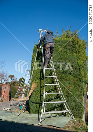 Japanese Gardener 133071758