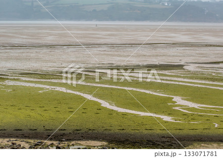 Seaside landscape in Armor Coast, Brittany in France Seaside landscape in Armor Coast, Brittany in France 133071781
