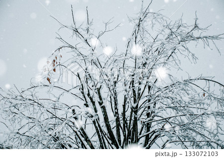 冬空に舞う雪 133072103