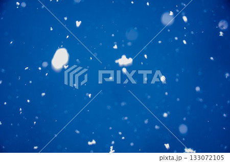 冬空に舞う雪 冬空に舞う雪 133072105