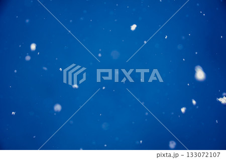 冬空に舞う雪 133072107