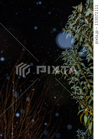 冬空に舞う雪 133072111