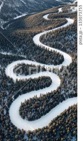 Drone aerial of winding groomed ski run cutting through dark evergreen forest high mountain winter resort 133073755