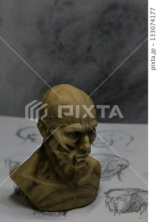 Anatomy sculpture of human head on detailed drawing 133074177
