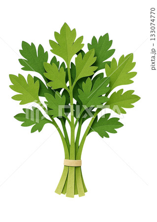 【野菜】三葉のイラスト 133074770