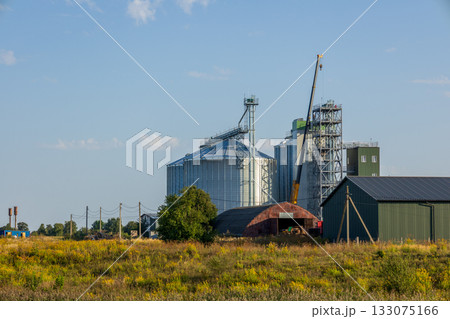 Large silos and a granary are situated in an agricultural area with a crane preparing for storage operations on a sunny day Large silos and a granary are situated in an agricultural area with a crane preparing for storage operations on a sunny day 133075166