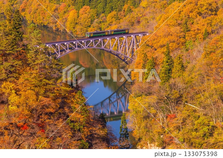 紅葉の只見川橋梁を走る只見線 133075398