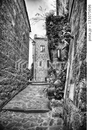 Narrow Stone Alley in Historic Civita di Bagnoregio with Lush 133075696
