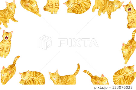 茶トラ猫のフレーム　動物・ペットの手描き水彩イラスト素材 133076025