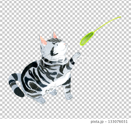 一隻美國短毛貓在玩貓玩具。手繪水彩寵物動物插畫。 133076031