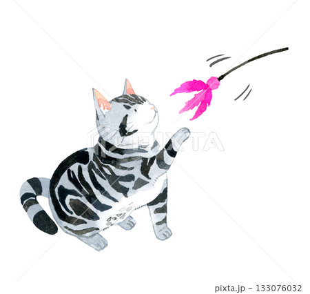おもちゃで遊ぶ猫（アメリカンショートヘアー）　ペット・動物の手描き水彩イラスト素材 133076032
