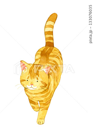 歩く茶トラ猫 動物・ペットの手描き水彩イラスト素材 歩く茶トラ猫 動物・ペットの手描き水彩イラスト素材 133076035