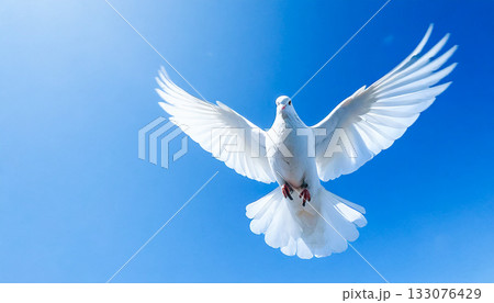 青空を飛ぶ白いハト,平和の白い鳩, AI生成画像 青空を飛ぶ白いハト,平和の白い鳩, AI生成画像 133076429