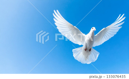 青空を飛ぶ白いハト,平和の白い鳩, AI生成画像 青空を飛ぶ白いハト,平和の白い鳩, AI生成画像 133076435