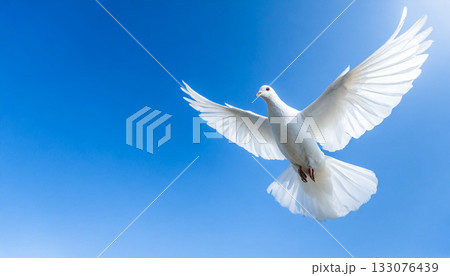 青空を飛ぶ白いハト,平和の白い鳩, AI生成画像 青空を飛ぶ白いハト,平和の白い鳩, AI生成画像 133076439