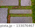 苔の生えた地面と石畳の道に落ちる赤いもみじの葉 133076467