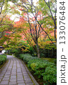 紅葉が始まった石畳の道の風景 133076484
