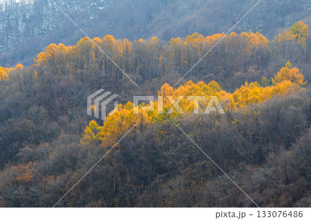 藻岩山秋景_4809 133076486