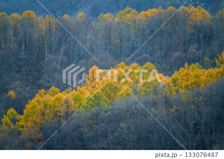 藻岩山秋景_5931 133076487