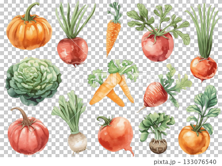 根莖類蔬菜和蔬菜水彩插圖集 根莖類蔬菜和蔬菜水彩插圖集 133076540