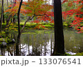 紅葉と池のある風景 133076541