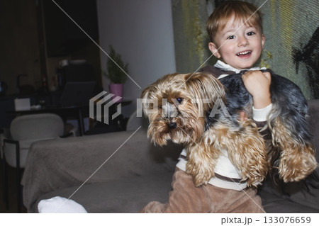 A cheerful little boy is playing and holding a small Yorkshire Terrier dog in his hands. The child looks joyful and affectionate, expressing love for pets and the bond between kids and animals. 133076659