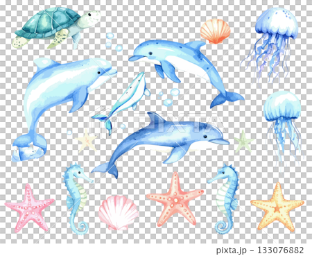 水彩で描いた海の生き物イラスト 133076882