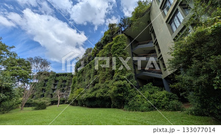 スリランカのホテル 133077014