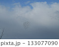 冬の空に群れを成す鳥 133077090